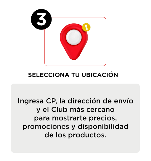 Contenido